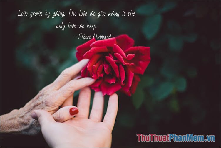 Love grows by giving. The love we give away is the only love we keep