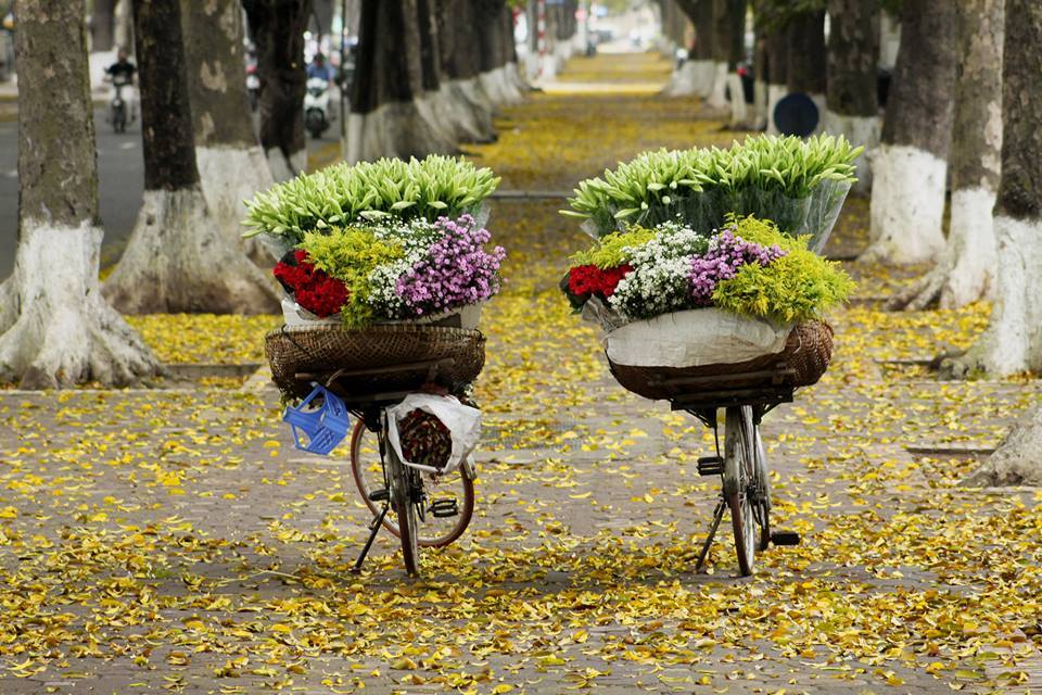 Hình ảnh mùa thu Việt Nam