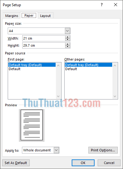 Page Setup - tab Paper