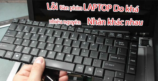 kha-nhieu-nguyen-nhan-dan-den-ban-phim-laptop-bi-loi-1-png